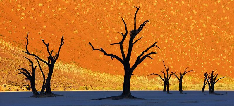 Những tuyệt tác kỳ vĩ thiên nhiên khiến bạn tròn mắt ngạc nhiên 22 nhung tuyet tac ky vi thien nhien khien ban tron mat ngac nhien 3 3