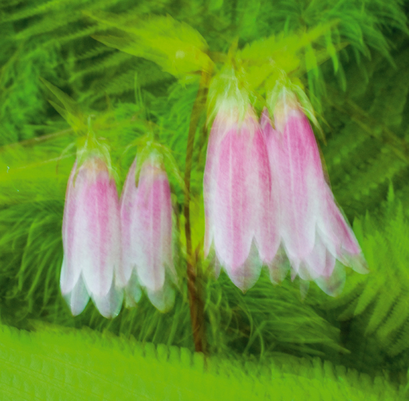 Chọn và sử dụng khẩu độ sao cho phù hợp và hiệu quả nhất.