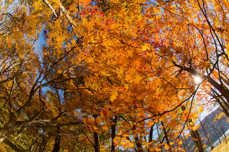 EOS 5D Mark III/ EF8-15mm f/4L Fisheye USM / FL: 15mm/ Aperture-priority AE (f/11, 1/320 giây, EV-0,3)/ ISO 400/ WB: Auto.