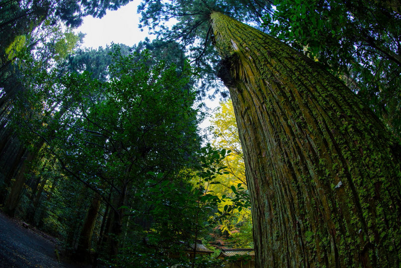 EOS 5D Mark III/ EF8-15mm f/4L Fisheye USM / FL: 15mm/ Aperture-priority AE (f/7,1, 1/100 giây, EV-1,0)/ ISO 800/ WB: Auto.