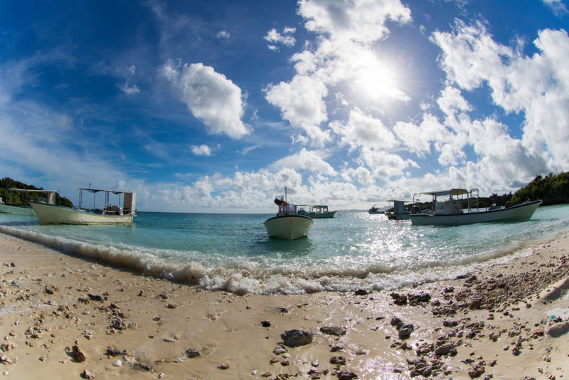 EOS 750D/ EF8-15mm f/4L Fisheye USM / FL: 10mm (tương đương 16mm) / Aperture-priority AE (f/13, 1/320 giây, EV+1,0) / ISO 100/ WB: Auto.