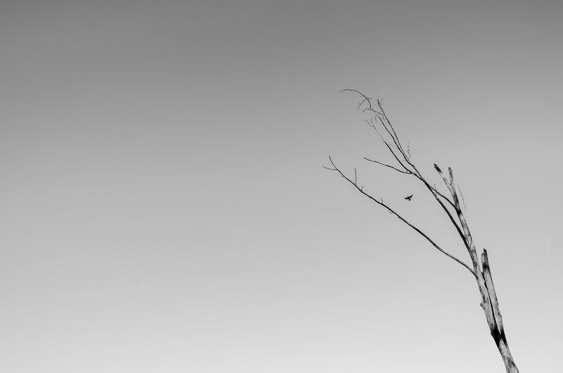 Tìm hiểu sâu các quy luật bố cục trong nhiếp ảnh 33 NIKON D7000 + 24mm f/1.4 @ 24mm, ISO 100, 1/640, f/4.0 Bởi vì tất cả các không gian tiêu cực, hình ảnh này truyền tải một cảm giác cô lập.