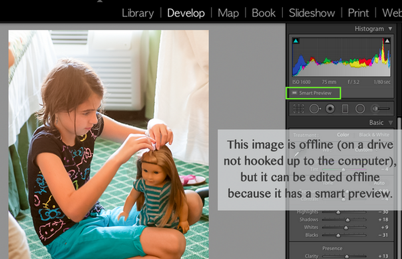 7 mẹo giúp cho Lightroom chạy nhanh hơn 12 Bạn có thể bỏ bớt không gian lưu trữ và điều chỉnh chất lượng bằng cách sử dụng Smart Preview để có hiệu suất nhanh hơn.