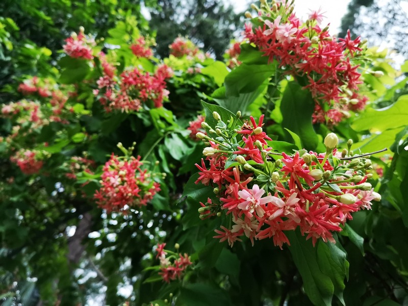 Huawei P20 Pro - Xứng danh smartphone chụp ảnh 17 huawei p20 pro xung danh smartphone chup anh 6 2