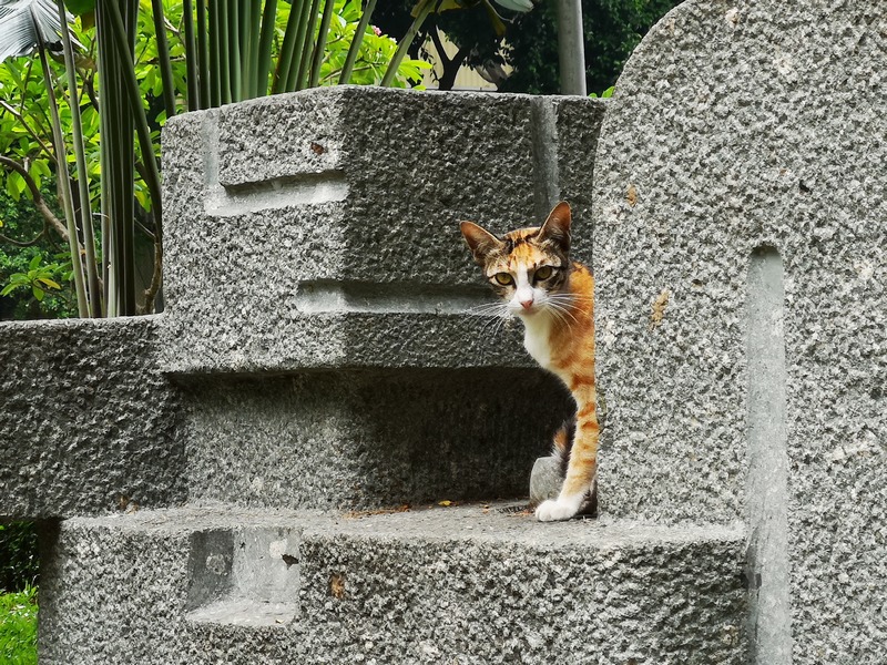 Huawei P20 Pro - Xứng danh smartphone chụp ảnh 19 huawei p20 pro xung danh smartphone chup anh 9 2