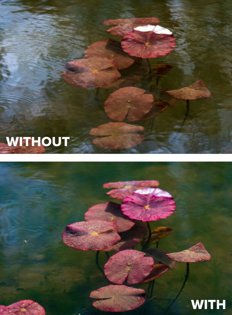 Kính phân cực trong nhiếp ảnh 15 Người dùng như có thể nhìn xuyên xuống mặt nước bằng cách dùng CPL