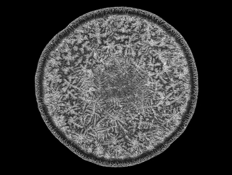 Vị trí thứ 7: Nước mắt bởi Norm Barker từ Mỹ.