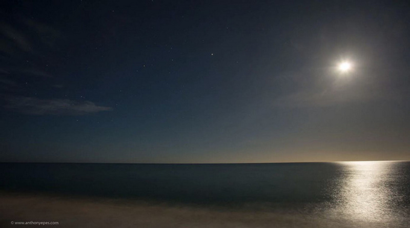 10 bai hoc de doi cua danh hoa van gogh ma dan chup anh can khac cot ghi tam 1 2