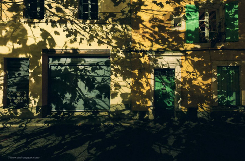 10 bai hoc de doi cua danh hoa van gogh ma dan chup anh can khac cot ghi tam 2 3