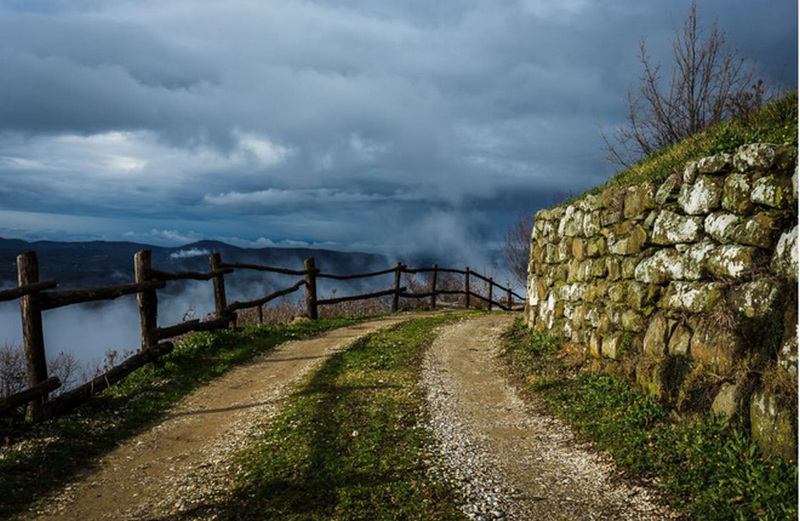 10 bai hoc de doi cua danh hoa van gogh ma dan chup anh can khac cot ghi tam 3 2