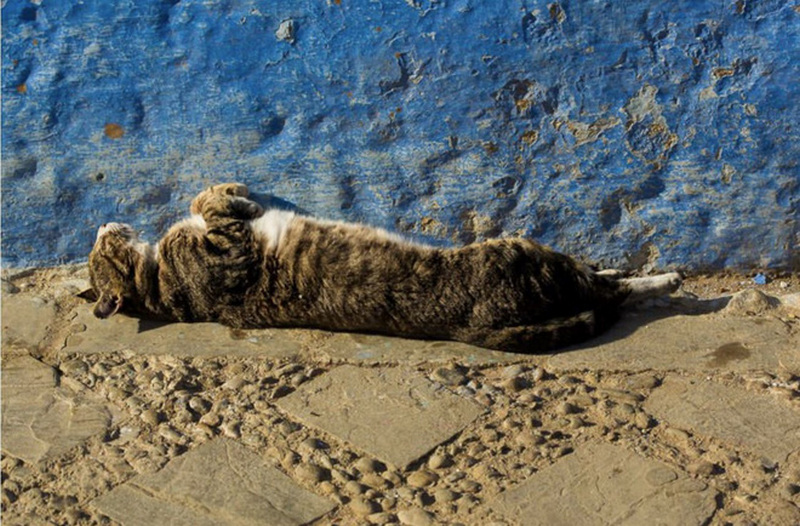 10 bai hoc de doi cua danh hoa van gogh ma dan chup anh can khac cot ghi tam 8 1