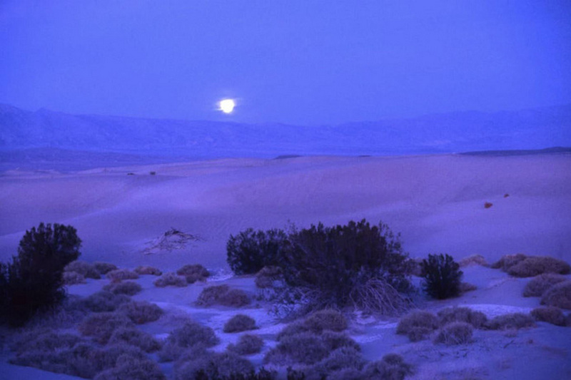 10 bai hoc de doi cua danh hoa van gogh ma dan chup anh can khac cot ghi tam 9 2