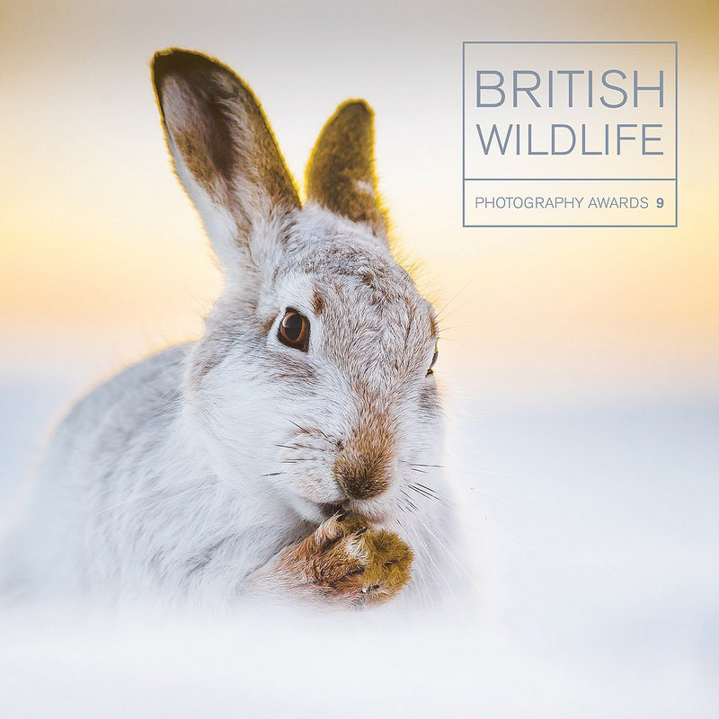Loạt ảnh đạt giải này xuất hiện trong cuốn sách Giải thưởng Nhiếp ảnh động vật hoang dã nước Anh 9, được xuất bản bởi Ammonite Press, RRP £ 25. Cuốn sách có sẵn trực tuyến và có mặt ở các hiệu sách lớn tại Anh.