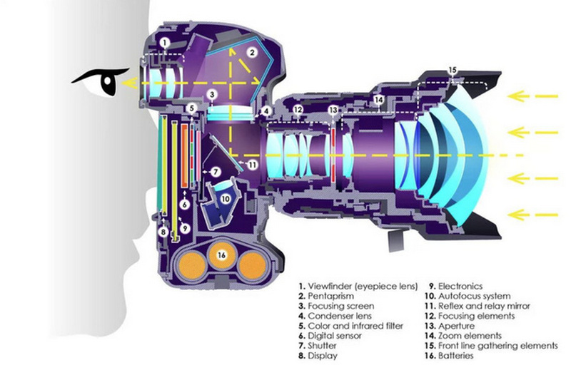 than chet lieu co sap goi ten dong may anh dslr 2 2