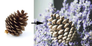 10 y tuong chup anh thu vi giup bien do vat nham chan tro nen song dong 19 3