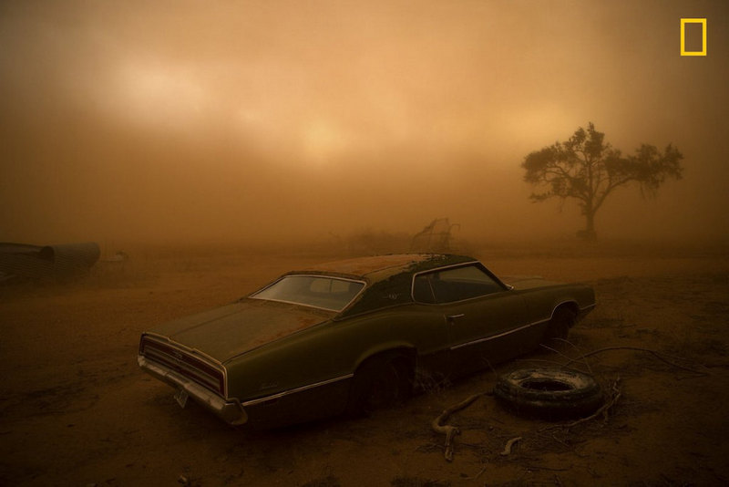 Giải nhì thuộc hạng mục ""Nơi chốn: "Thunderbird in the Dust" - Nicholas Moir. Trong ảnh là một chiếc Ford Thunderbird bị rỉ sét bụi bám dày từ cơn giông siêu tốc ở Ralls, Texas