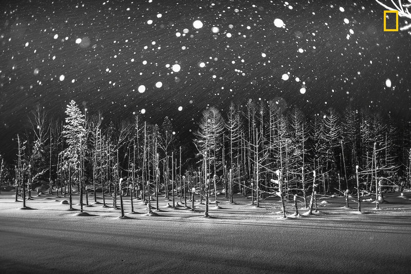"Snowflakes" - Rucca Y Ito